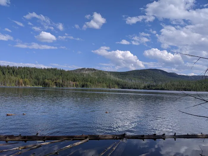 Olive Lake Campground Picture 10