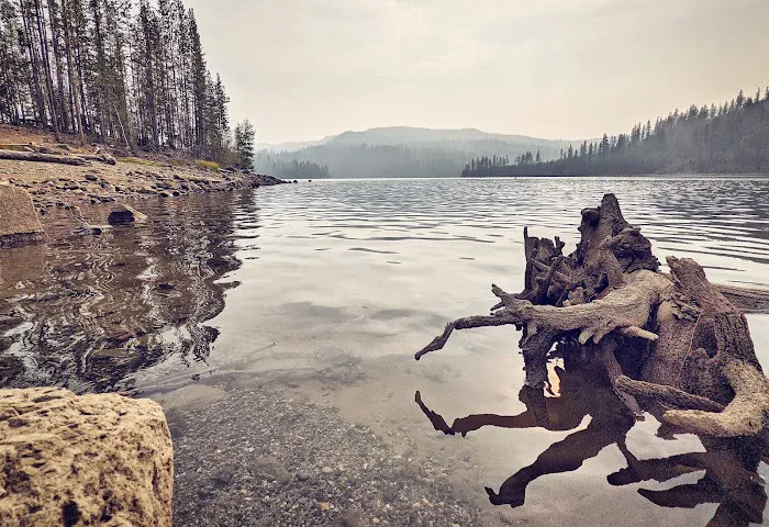 Olive Lake Campground Picture 5