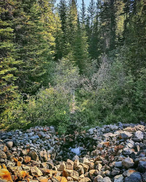 Olive Lake Campground Picture 6