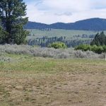 Clearwater Crossing Campground