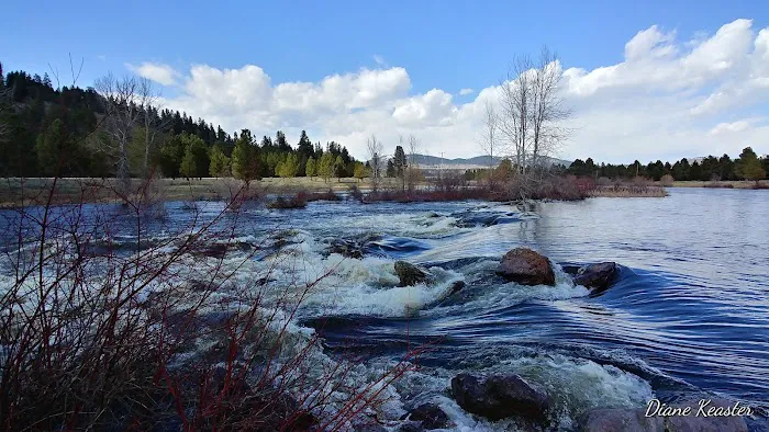 Clearwater Crossing Campground Picture 5