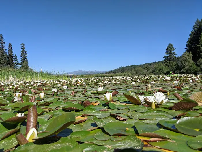 Placid Lake Campground Picture 4