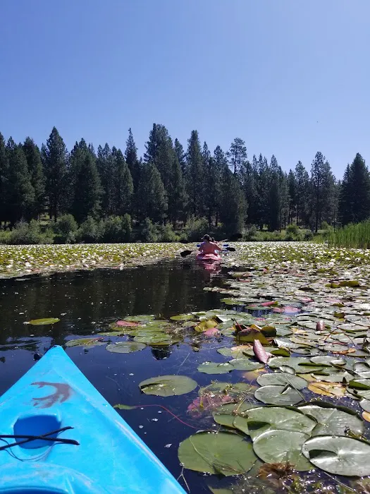 Placid Lake Campground Picture 10