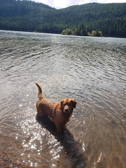 Salmon Lake Campground Picture 5