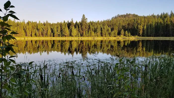 Tuppers Lake Campsite Picture 2