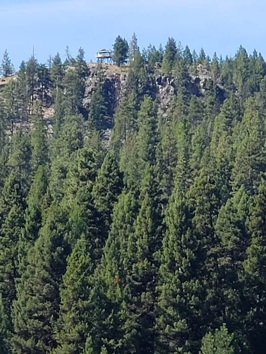 Tuppers Lake Campsite Picture 4
