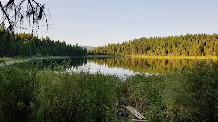 Tuppers Lake Campsite Picture 1
