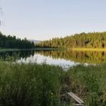 Tuppers Lake Campsite