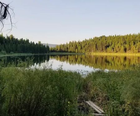 Tuppers Lake Campsite