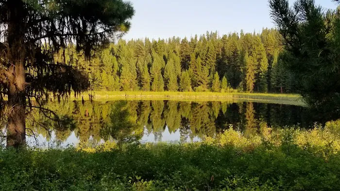 Tuppers Lake Campsite Picture 3