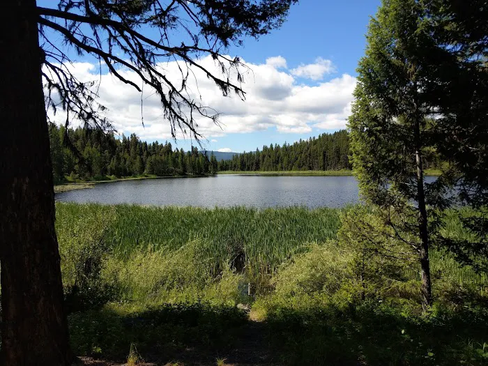 Tuppers Lake Campsite Picture 6