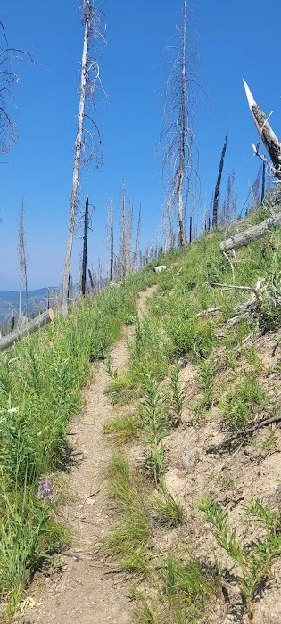 Crescent Lake Picture 3