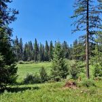 Seeley Lake Campground