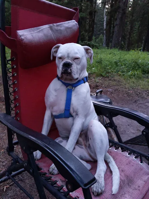 Seeley Lake Campground Picture 7
