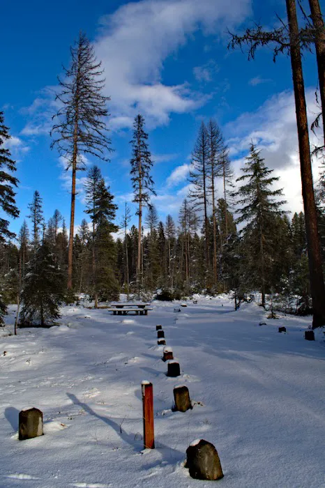 Big Larch Campground Picture 3