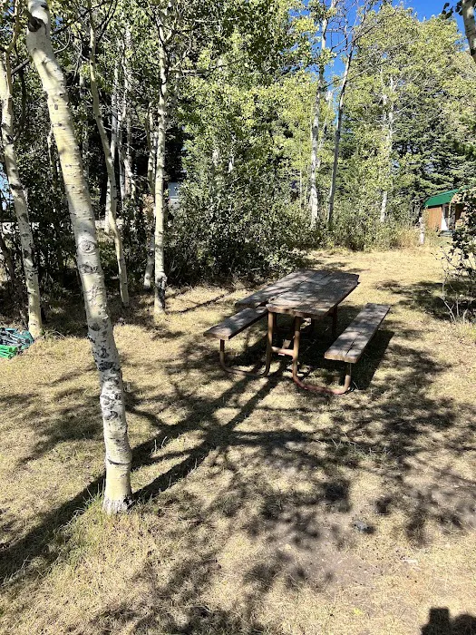 Leaning Tree Cafe and Campground Picture 8