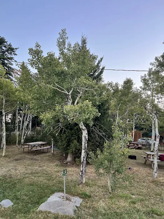 Leaning Tree Cafe and Campground Picture 6