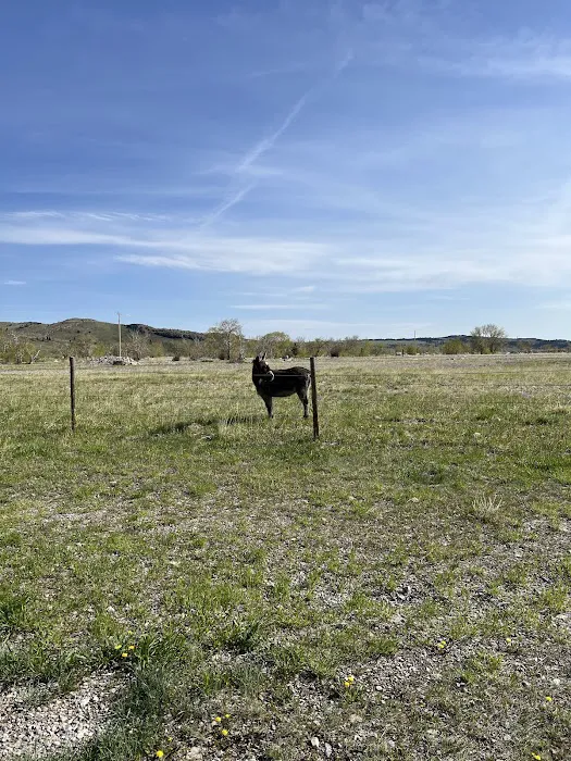 Pondera Public Park and Campground Picture 4