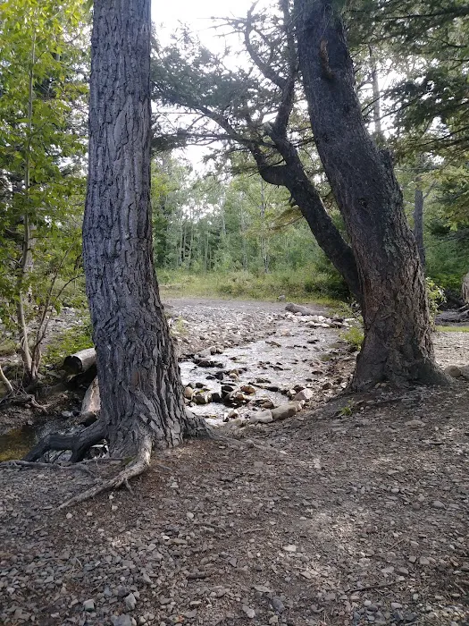 Red Eagle Campground Picture 5