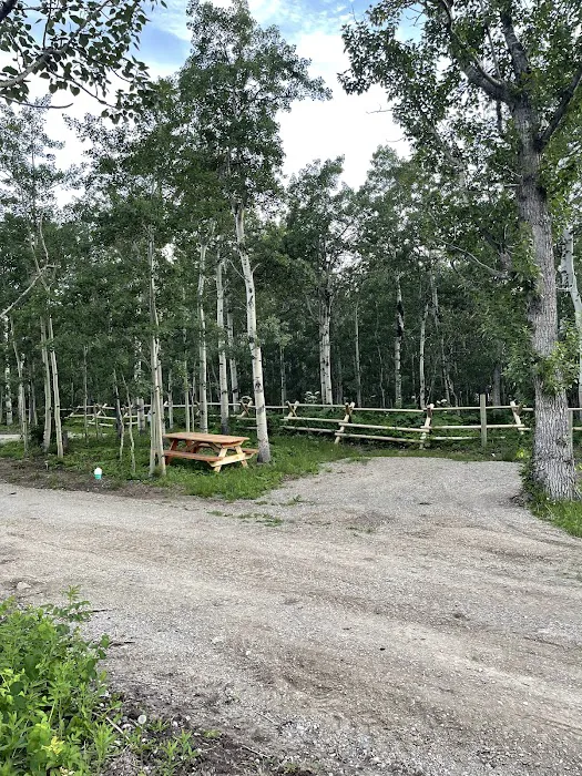 Red Mountain Glacier Campground Picture 7