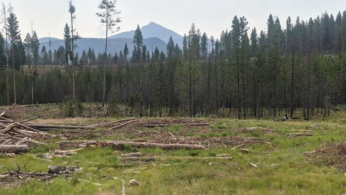 Copper Creek Campground Picture 9