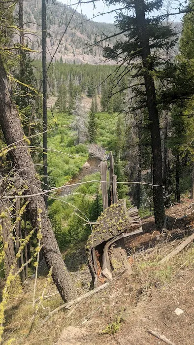 Copper Creek Campground Picture 4