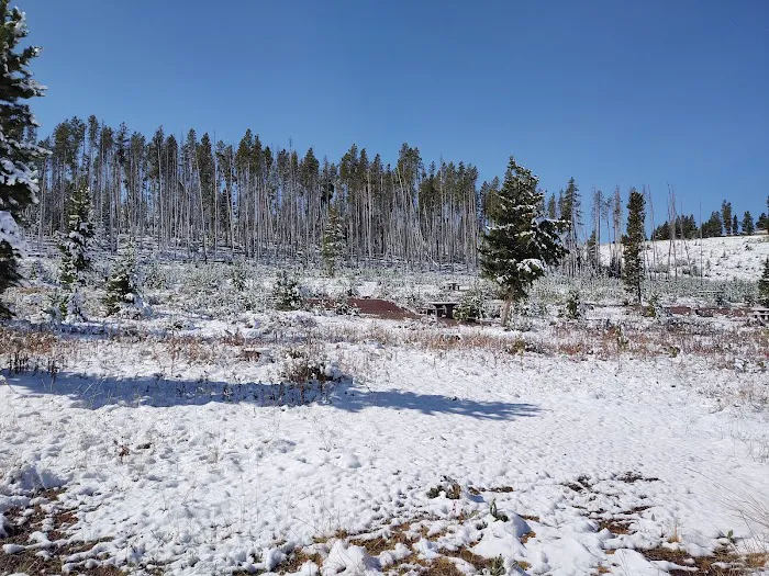 Piney Campground and Picnic Area Picture 10