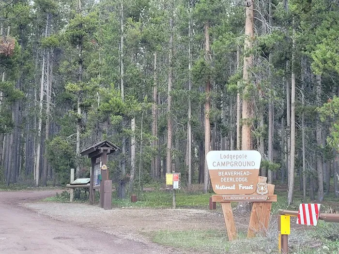 Lodgepole Campground (On Georgetown Lake, Montana) Picture 8
