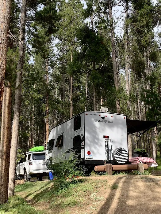 Lodgepole Campground (On Georgetown Lake, Montana) Picture 5