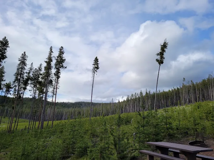 Lodgepole Campground (On Georgetown Lake, Montana) Picture 1