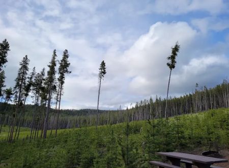 Lodgepole Campground (On Georgetown Lake, Montana)