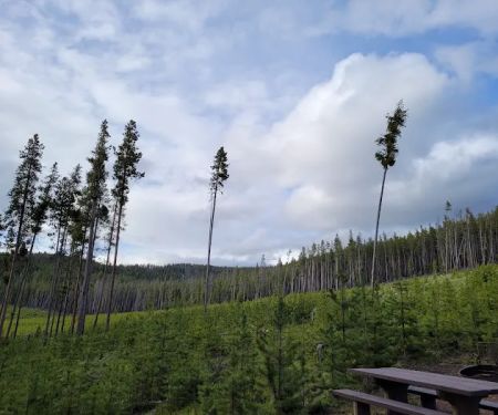 Lodgepole Campground (On Georgetown Lake, Montana)