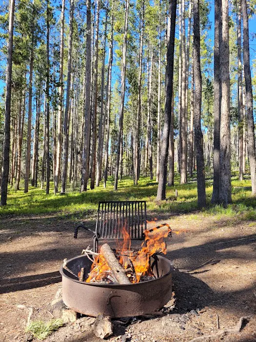 Lodgepole Campground (On Georgetown Lake, Montana) Picture 2