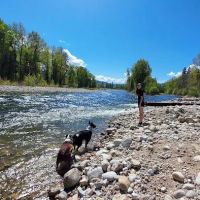 Hannon Memorial FAS ico