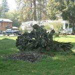 Peaks and Pines RV and Camp Resort