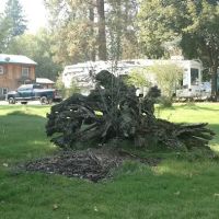 Peaks and Pines RV and Camp Resort ico