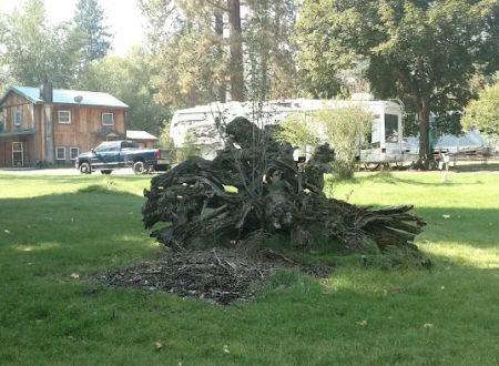 Peaks and Pines RV and Camp Resort