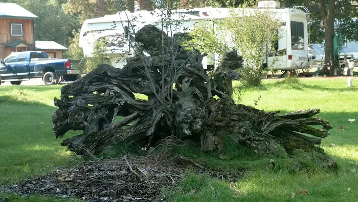 Peaks and Pines RV and Camp Resort Picture 6