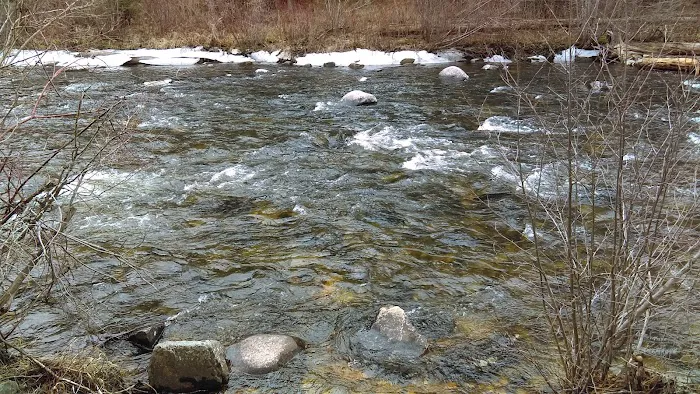 Jennings Camp Campground Picture 7