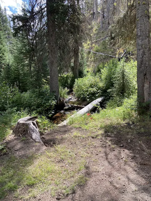 Poet Creek Campground Picture 2