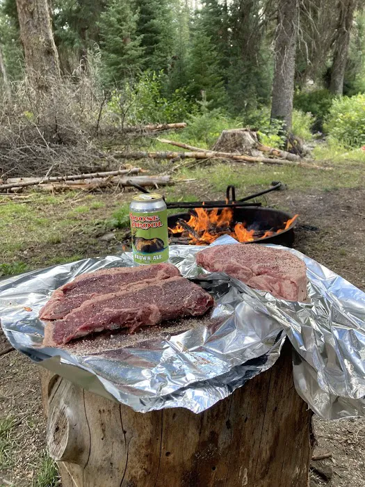 Poet Creek Campground Picture 5