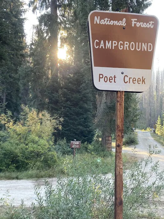Poet Creek Campground Picture 3