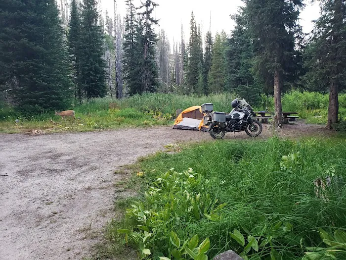 Poet Creek Campground Picture 6