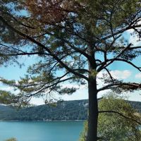 Big Mallard Creek Campground ico