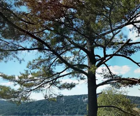 Big Mallard Creek Campground