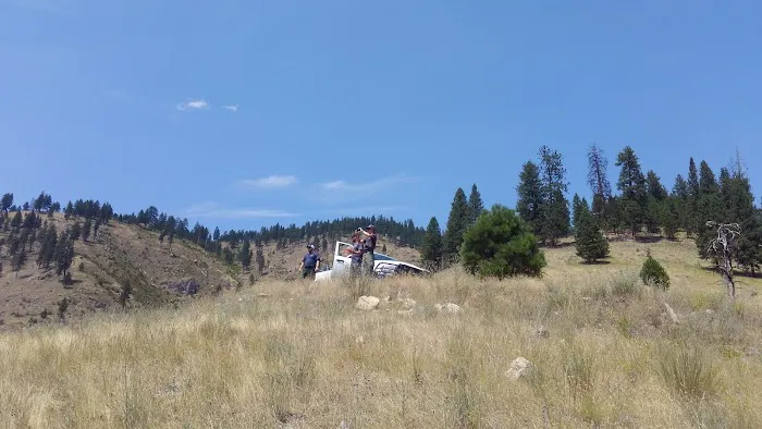 Mackay Bar Campground Picture 8