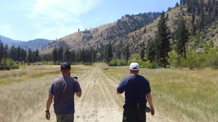 Mackay Bar Campground Picture 5