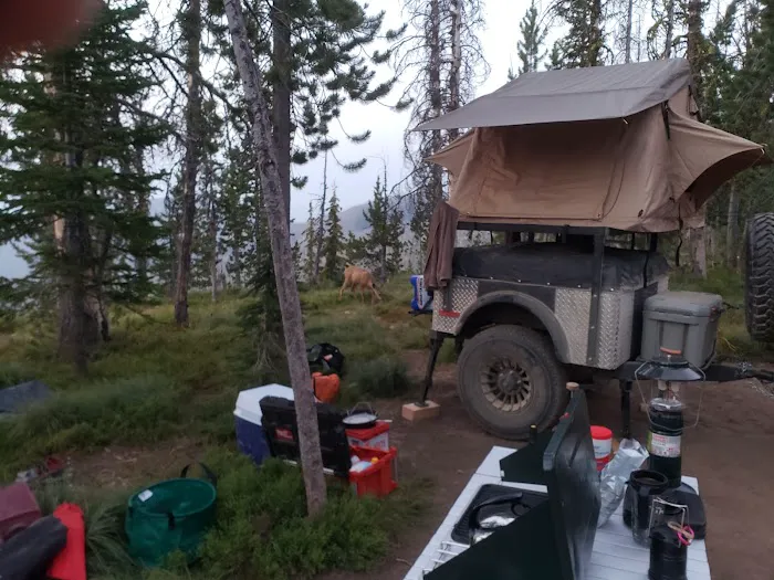 Observation Point Campground Picture 9