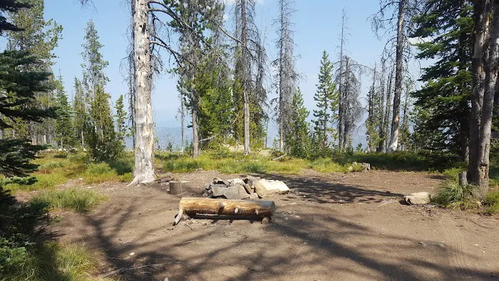 Observation Point Campground Picture 2