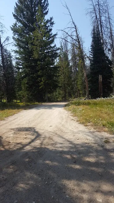 Observation Point Campground Picture 8